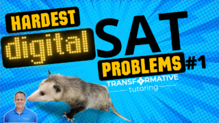 01-Exponential-Possum-1